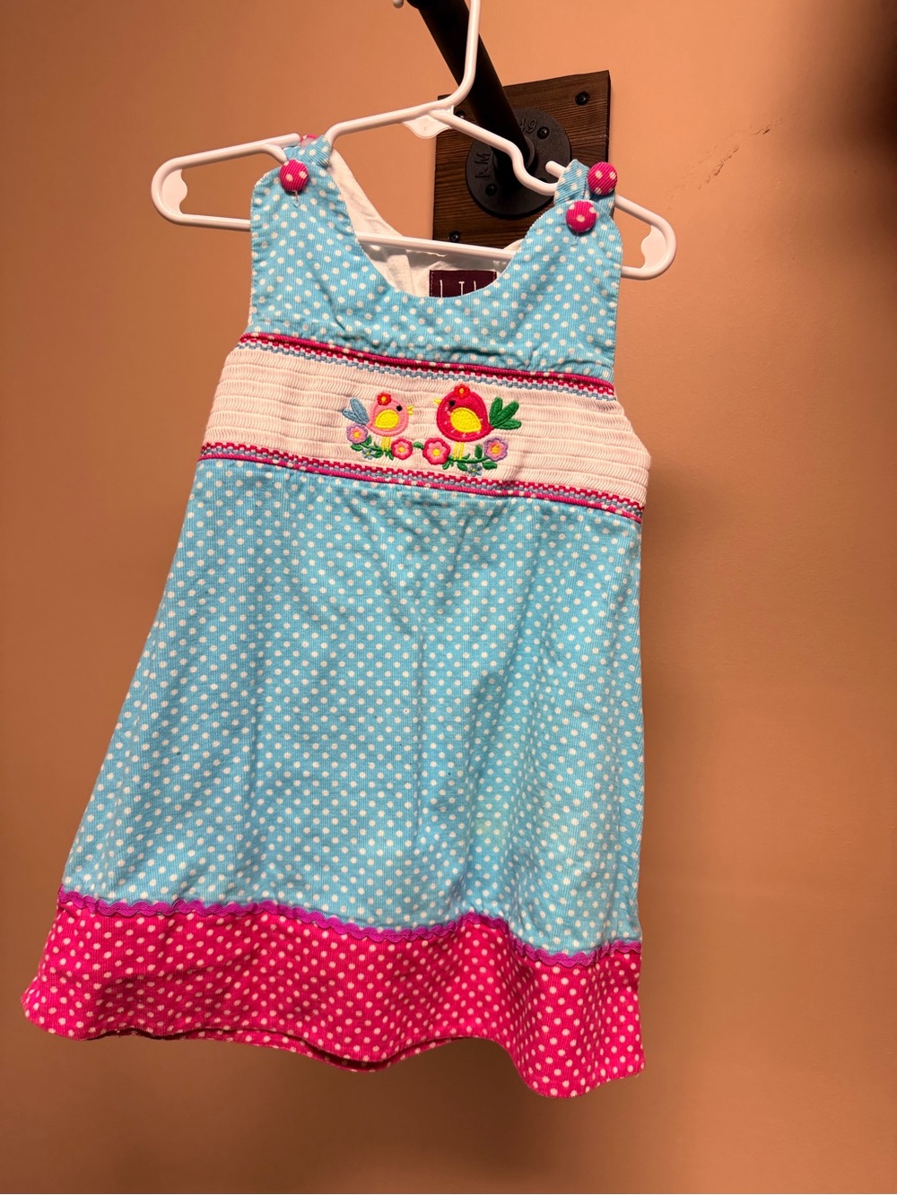 Cactus Blue Polka Dot Girls' Dress with Pink Trim and Bird Embroidery